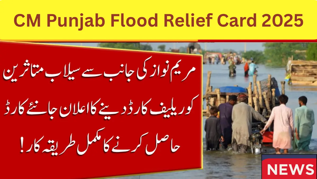 CM Punjab Flood Relief Card 2025: Online Registration